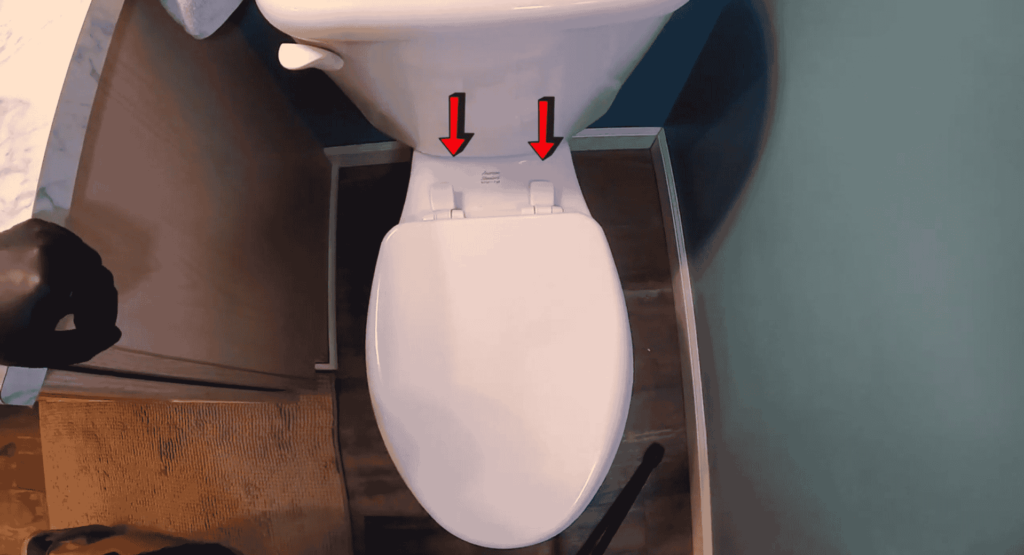 Remove the Toilet Seat - Step 1