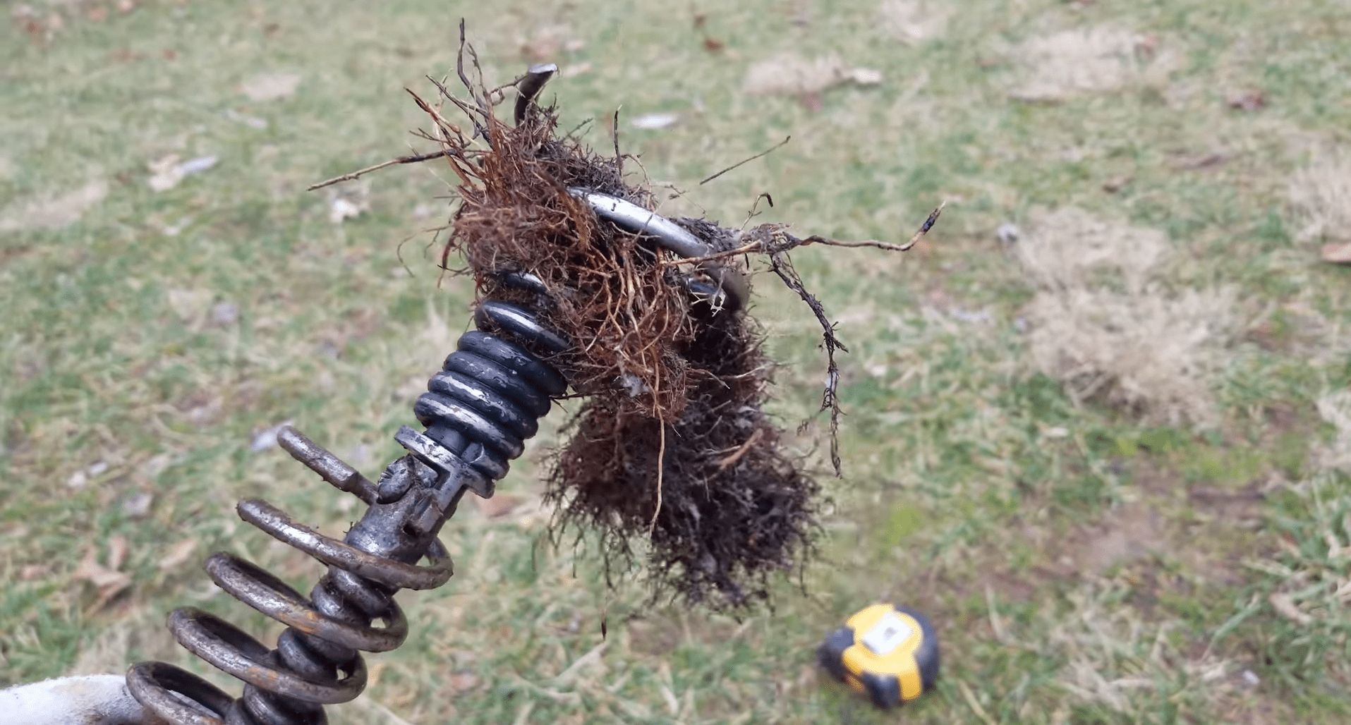 Common Signs of Roots in Drain Pipe and How to Fix It